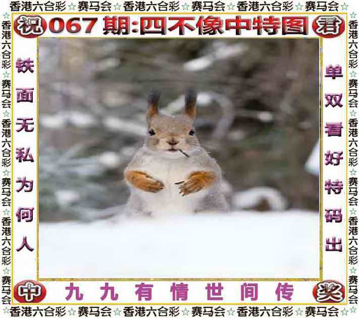 四不像四不像