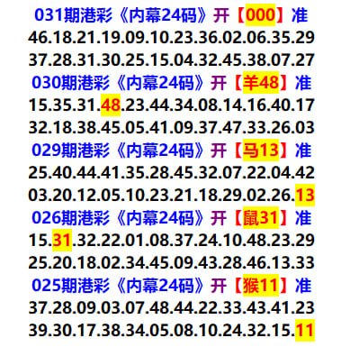 24码中特