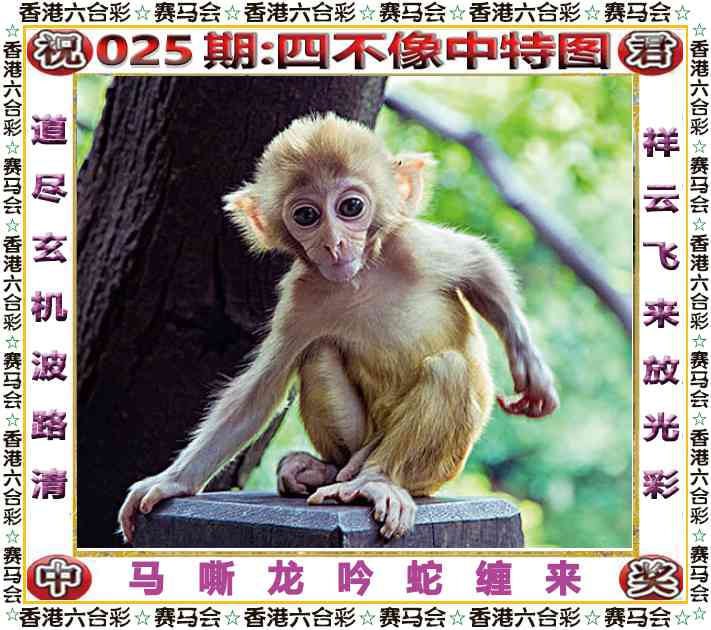 四不像四不像