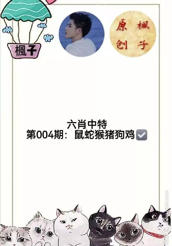 香港枫子香港枫子