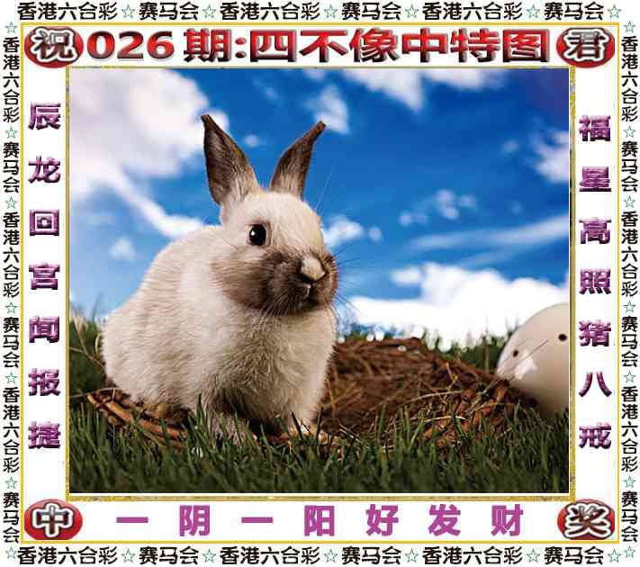 四不像四不像