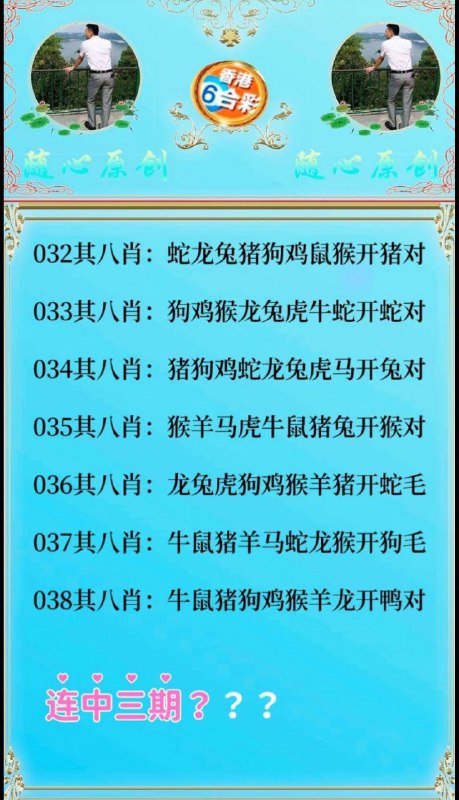 8肖中