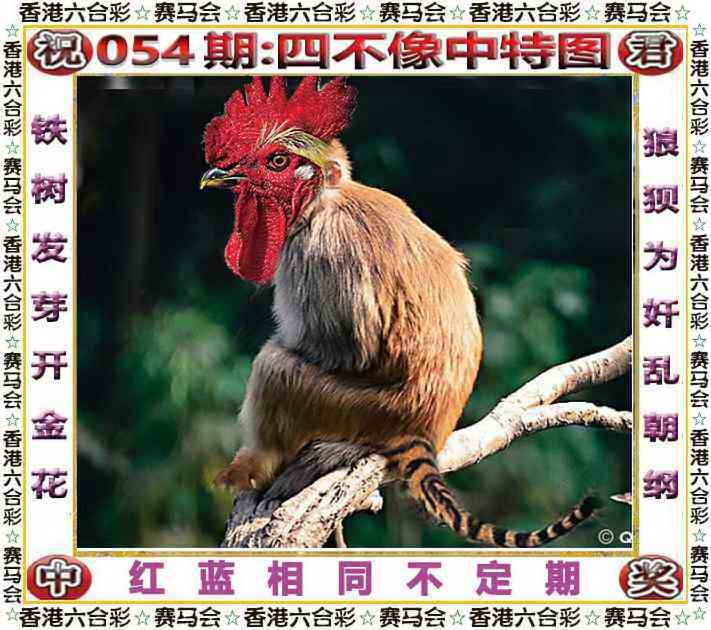 四不像四不像