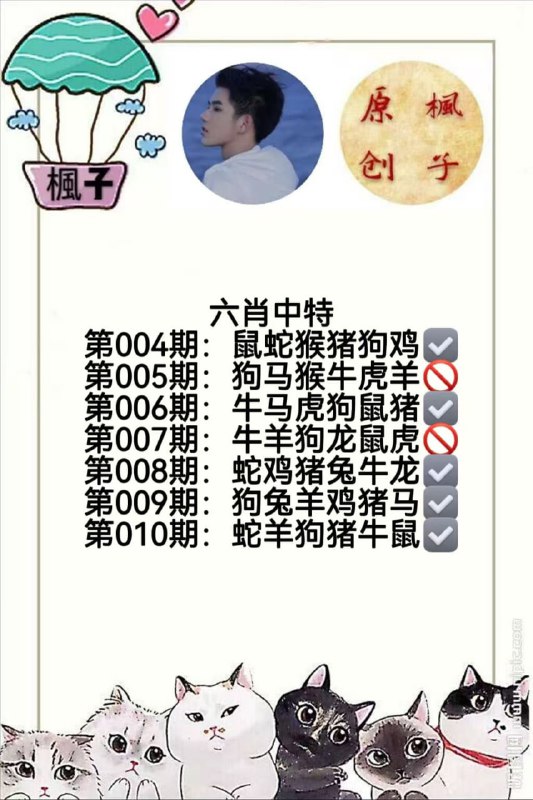 香港枫子香港枫子