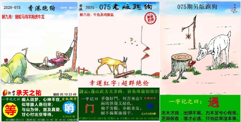 跑狗