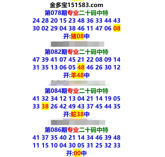专业二十码