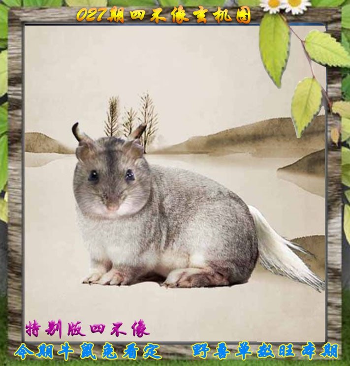 四不像四不像