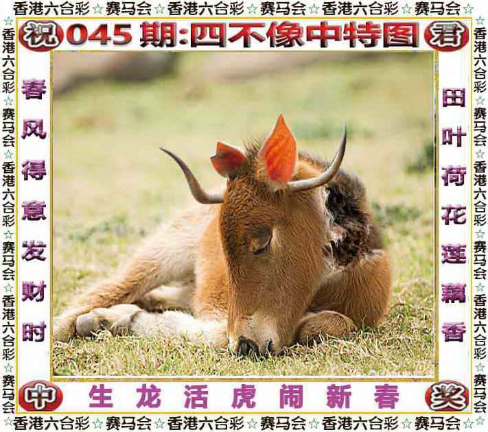 四不像四不像