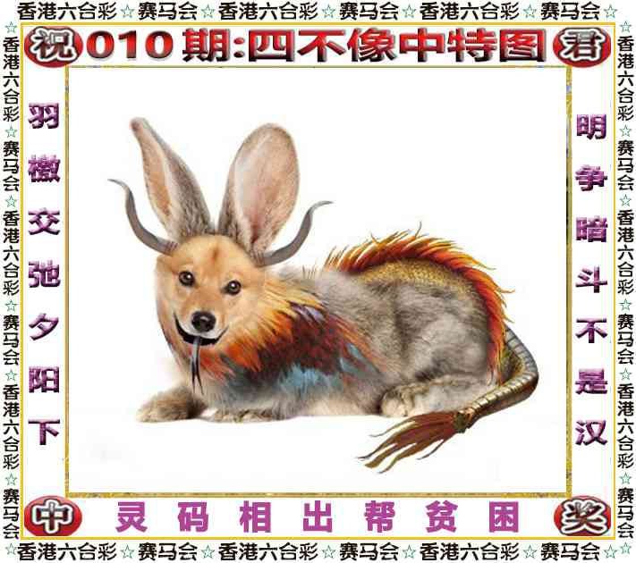 四不像四不像