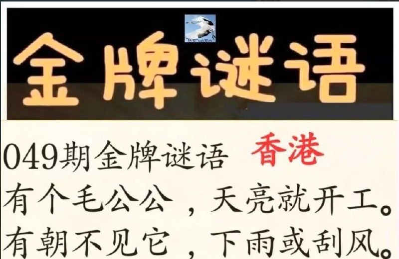 金牌谜语金牌谜语
