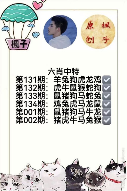 香港枫子香港枫子