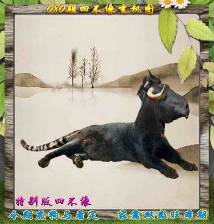四不像四不像