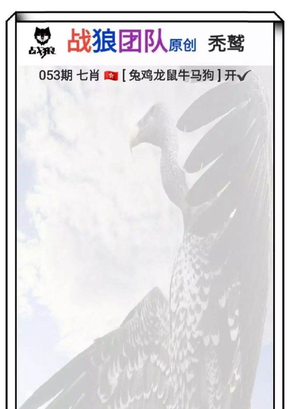 战狼团队战狼团队
