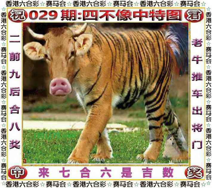 四不像四不像