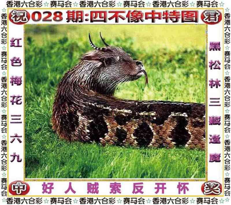 四不像四不像