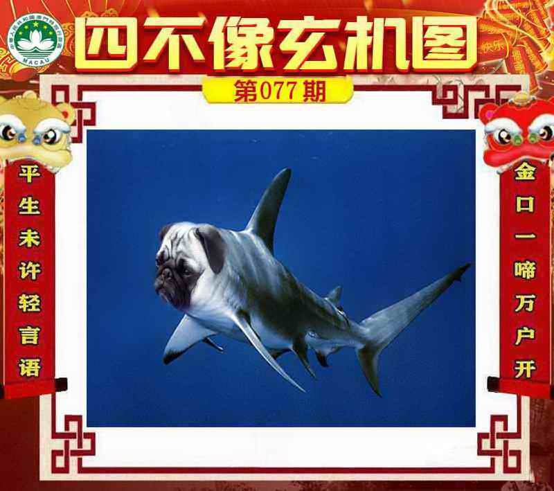 四不像四不像