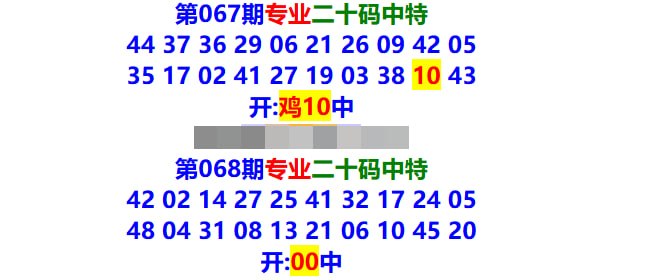 专业二十码