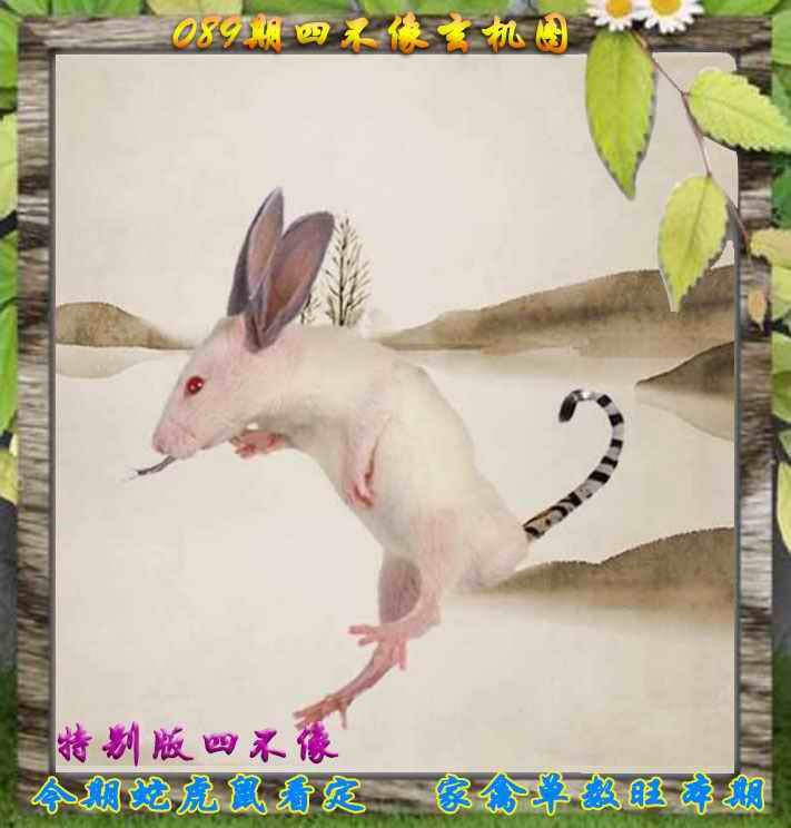 四不像四不像