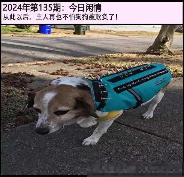 闲情闲情