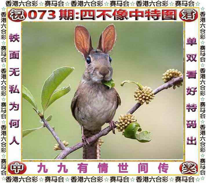 四不像四不像