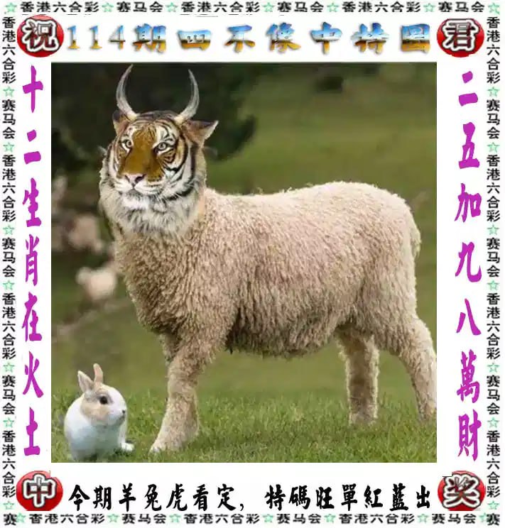 四不像四不像