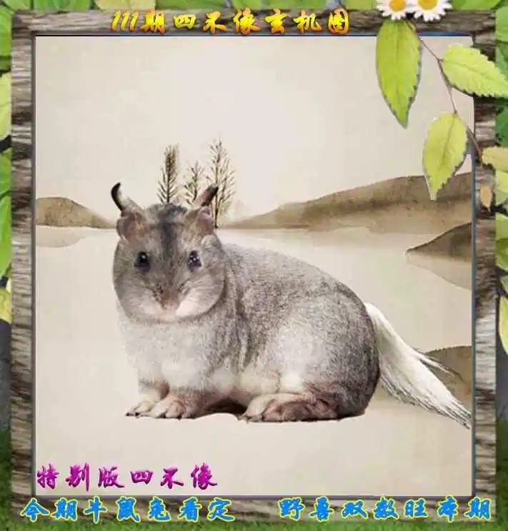 四不像四不像