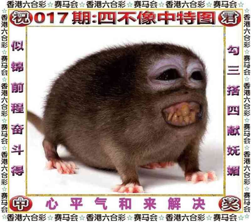 四不像四不像