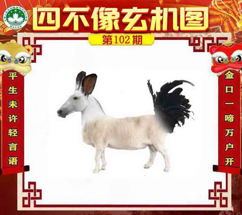 四不像四不像