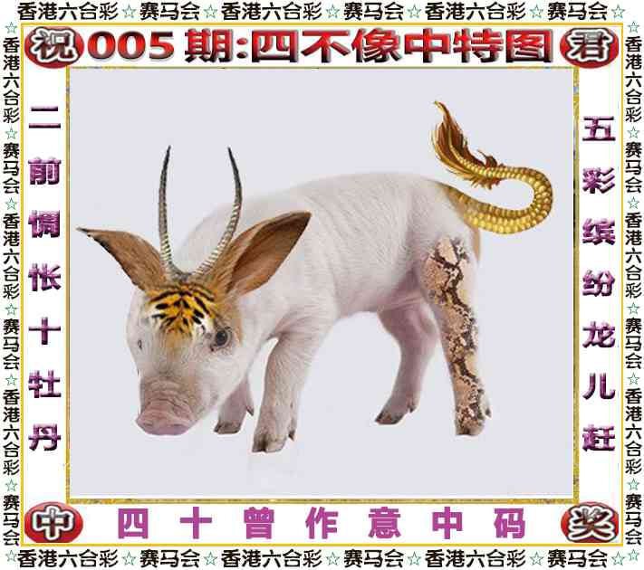 四不像四不像