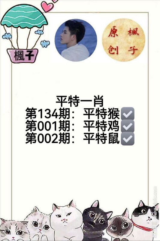 香港枫子香港枫子