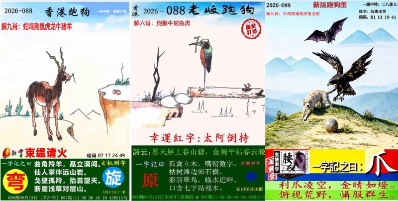 跑狗