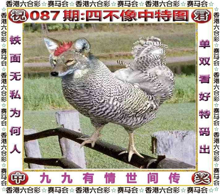 四不像四不像