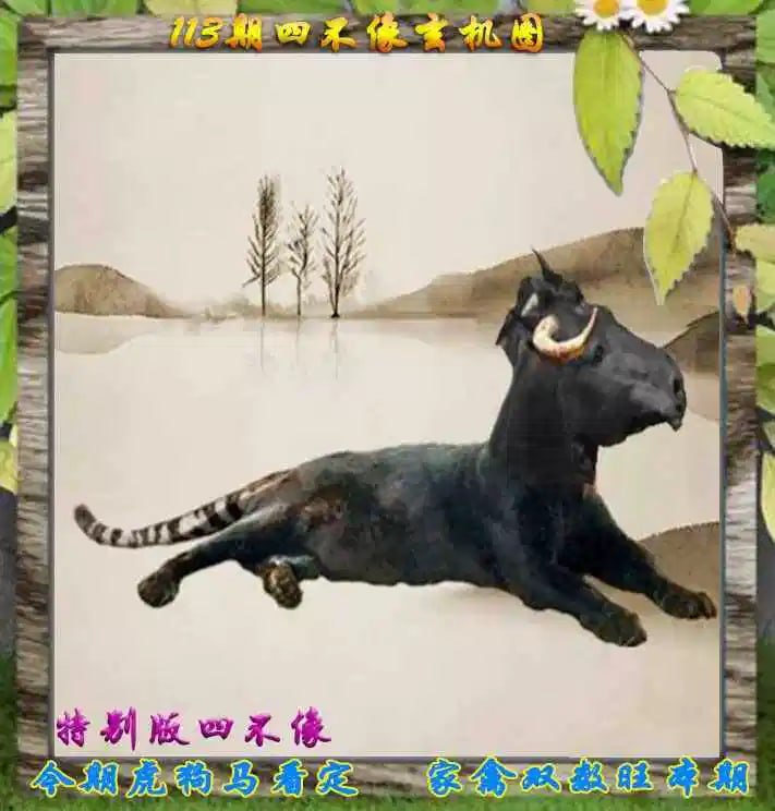 四不像四不像