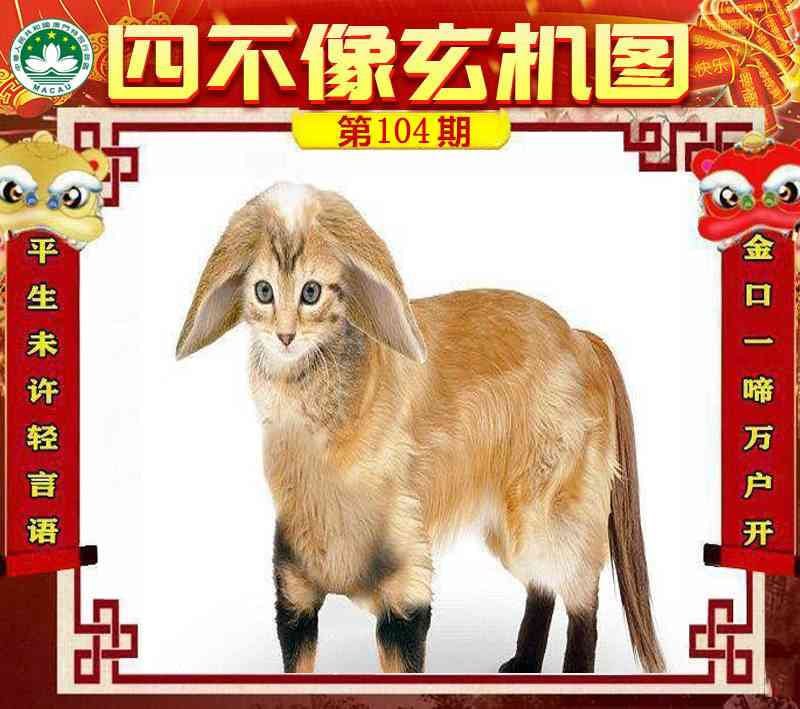 四不像四不像