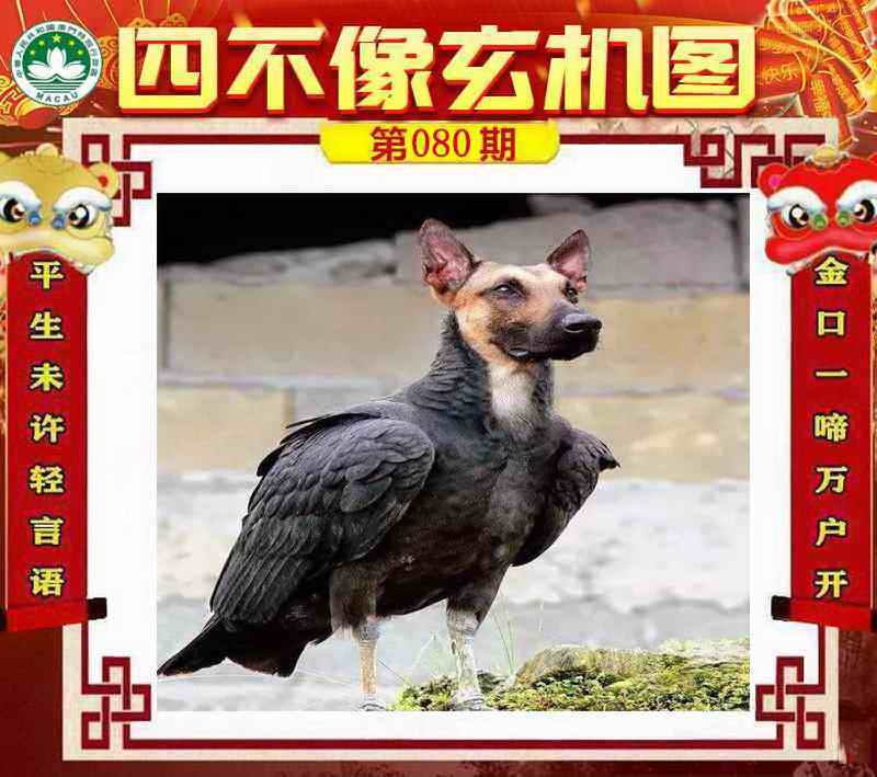 四不像四不像