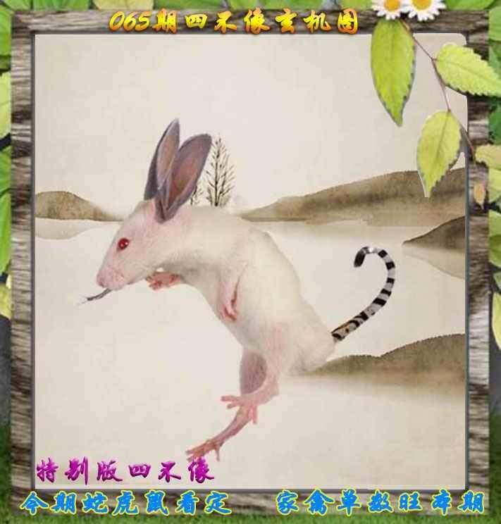 四不像四不像