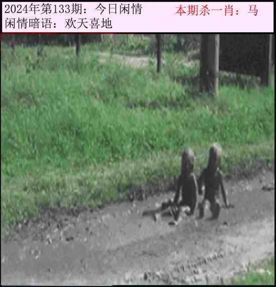今日闲情今日闲情