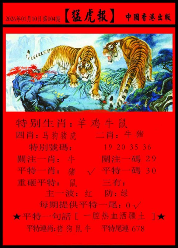 红虎+猛虎红虎+猛虎