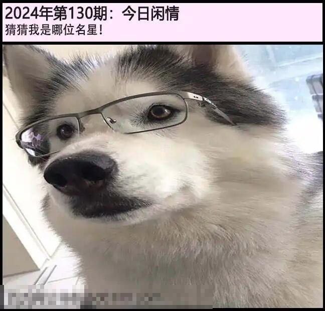 今日闲情 戴眼镜的是其他版本今日闲情 戴眼镜的是其他版本