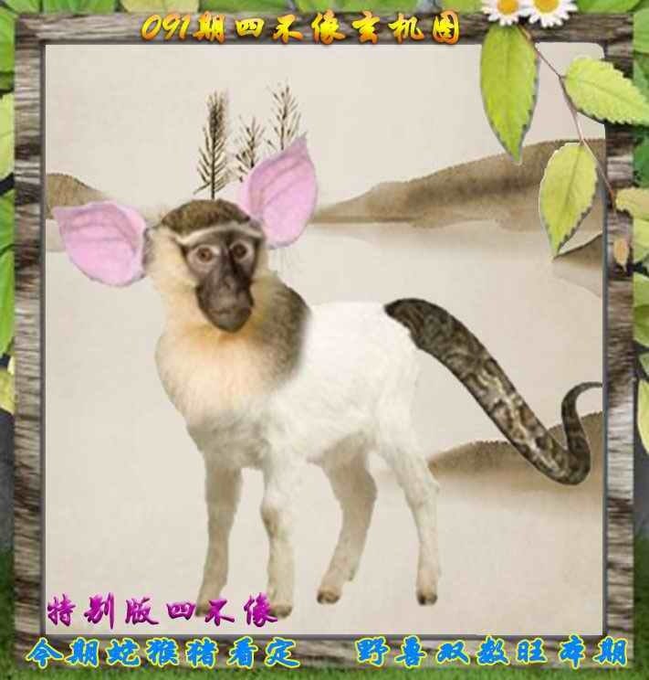 四不像四不像