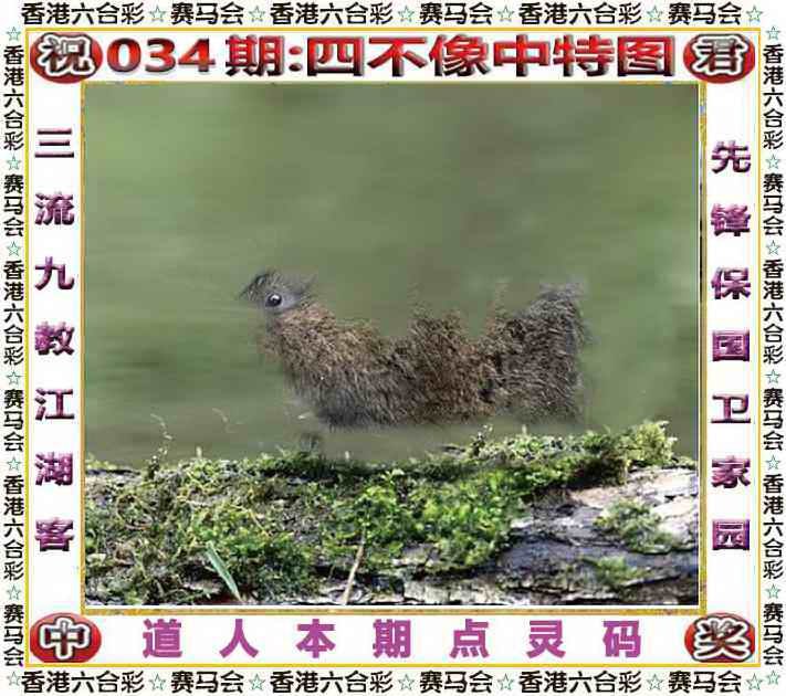 四不像四不像