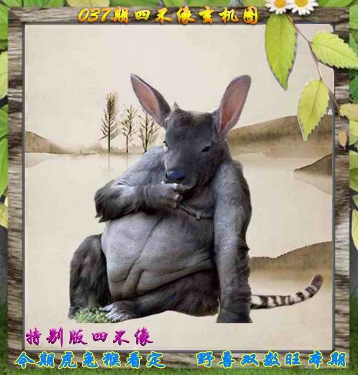 四不像四不像