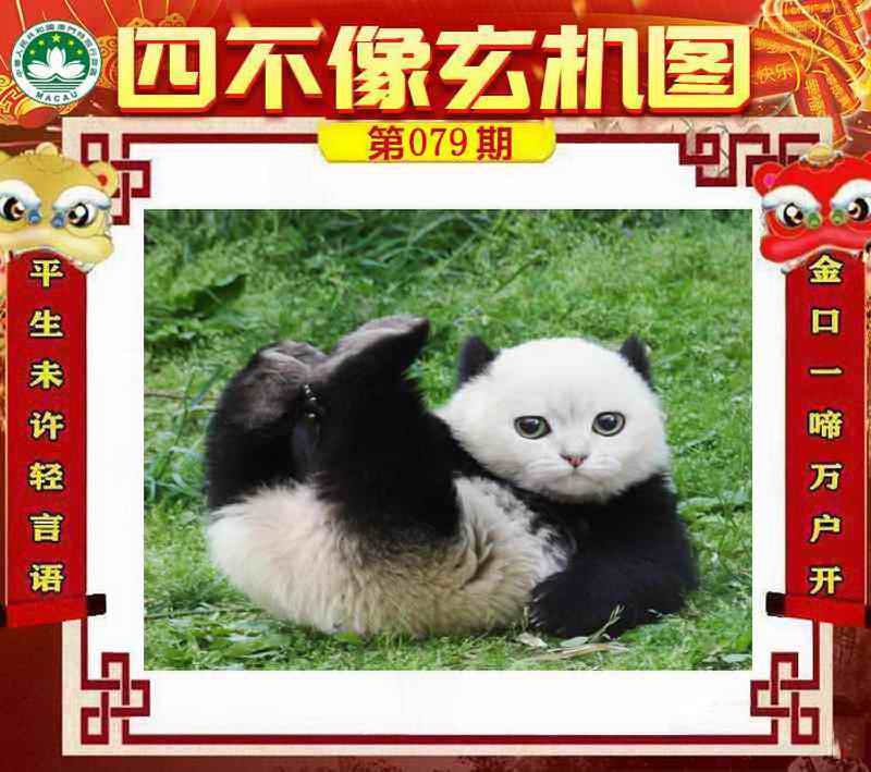 四不像四不像