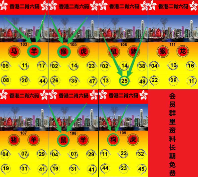 香港会员料
