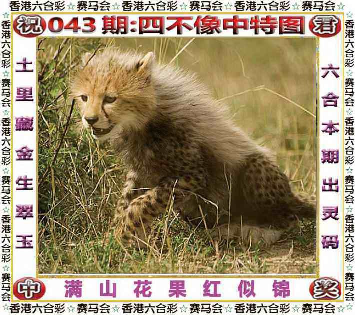 四不像四不像