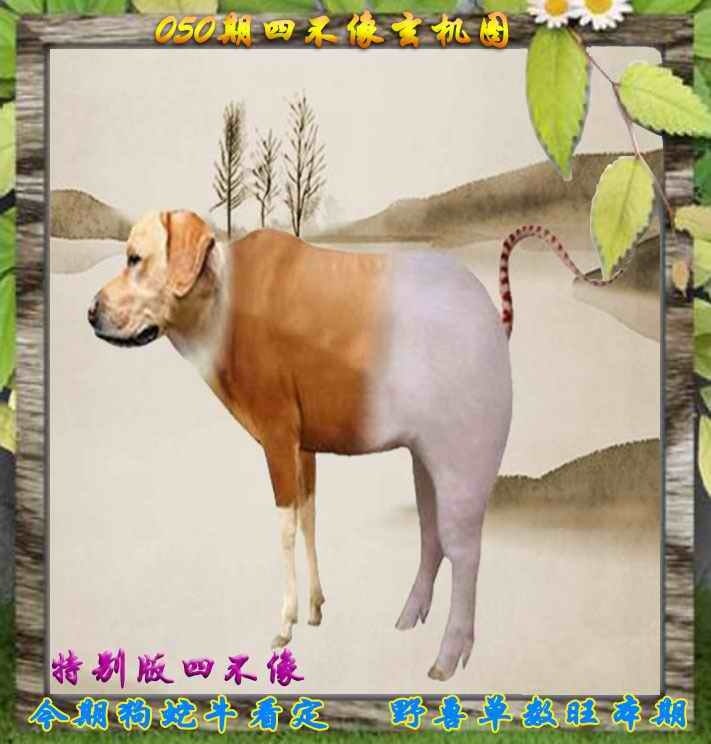 四不像四不像