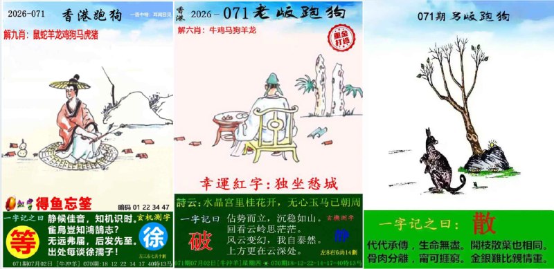 跑狗