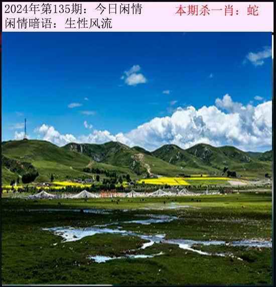 闲情闲情