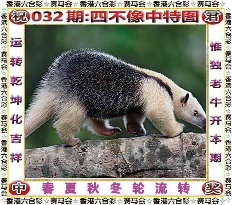 四不像四不像
