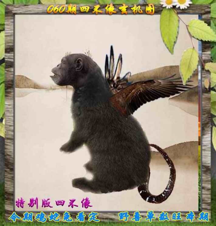 四不像四不像